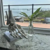 The image features a detailed anatomical model of a human foot and ankle skeleton on a white stand. Next to it sits a small, clear glass bottle serving as a vase for a fresh sprig of Lily of the Valley. The window in the background provides a view of a body of water and a distant shoreline.